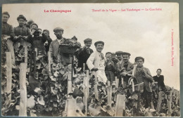 La Champagne - Travail De La Vigne - Les Vendanges - La Cueillette. Très Animée -  Circulée 1908 - Champagne - Ardenne