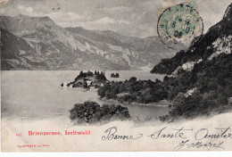 BRIENZERSEE - ISELTWALD - CARTOLINA FP SPEDITA NEL 1906 - Brienz