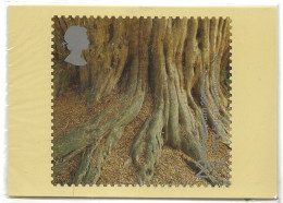Great Britain  2000 Turn Of The Millennium (XXIII): Tree And Leaves, Mi 1881-1884 Unused  Maximum Cards No Stamps - Maximum Cards