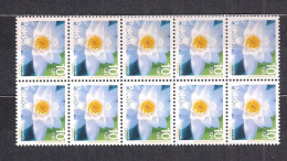 POLAND 2015 FLOWERS 10 GROSZY BLOCK Of 10 MNH - Unused Stamps