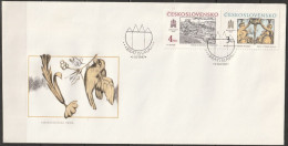 Tschechoslowakei 1987 FDC MiNr.2928 - 2929  Historische Motive Von Preßburg ( Dl 60 ) - FDC