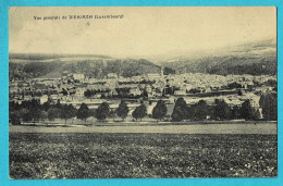 * Diekirch (Luxembourg - Luxemburg) * (Dép Edition Artistique R. Tippmann) Vue Générale De Diekirch, Panorama - Diekirch