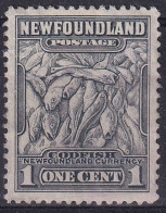 Newfoundland Codfish - 1908-1947
