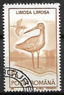 ROUMANIE      -      ECHASSIER      -     Oblitéré - Storks & Long-legged Wading Birds