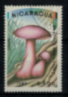 Nicaragua - PA - "Champignon : Xerocomus Illudens" - Oblitéré N° 1085 De 1985 - Nicaragua