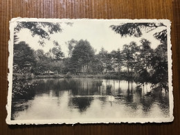 As 1950 Vijver Aan Oude Molen - As