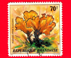 RWANDA  - Usato - 1980 - Funghi - Mushrooms - Podoscypha Elegans - 70 - Usados