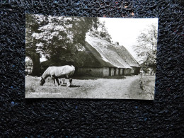 Vledder, Saksische Boerderij, Cheval (P20) - Sonstige & Ohne Zuordnung