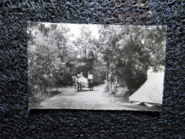 Camping "Ekelenberg" Zuidwolde, Attelage Avec Poney  (P20) - Sonstige & Ohne Zuordnung