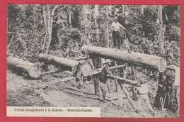 Nouvelle-Guinée - Frères Coadjuteurs à La Scierie (always See Reverse ) - Papua-Neuguinea