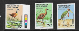 COTE D'IVOIRE 1985 OISEAUX TRES RARE  YVERT N°720A/720C NON DENTELE  NEUF MNH** - Cigognes & échassiers