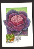 VEGETABLES VEGETABLES GEMÜSE DES LÉGUMES CABBAGE CHOU KOHL SWEDEN SUEDE SCHWEDEN 2003 STAMP ON FDC MAXIMUM CARD CARTE - Groenten