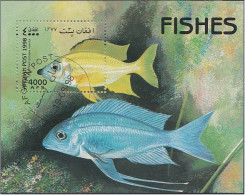 Afghanistan 1998 Bloc Poissons Vissen Fish (°) Oblitéré - Afghanistan