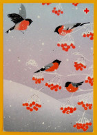 Bullfinches On Rowan Branches. Christmas Postcard - Red Cross Finland Postal Stationery 1991 - Used - Enteros Postales