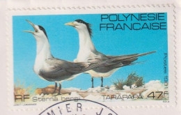 Polynésie Française 1981 - YT 168 (o) Sur Fragment - Usati