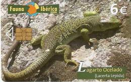 ¡¡OFERTA!! TARJETA DEL LAGARTO OCELADO SÓLO 0,60 EUROS - Emissioni Di Base