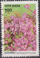 1985 Indien ° Mi:IN 1023, Sn:IN 1090, Yt:IN 839, Bougainvillea "H. B. Singh" - Used Stamps