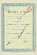 - Titre De 1900 - Savonnerie Africaine - Rare - - Perfumes & Belleza