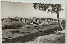 [CASTILLA Y LEON] - AVILA - Vista General - Ávila