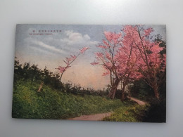 JA/391 .. JAPAN Ansichtskarten - Sakura, Kinzukean-Linie Nishimoto Chiba DER OKUSENBON YOSHINO. - Osaka