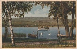 GRUSS VOM GREIFENSEE - Greifensee