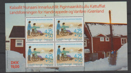Greenland 1996 Landsforeningen For Handicappede Welfare Souvenir Sheet MNH/**. Postal Weight Approx. 0,04 Kg - Blocks & Sheetlets