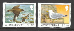 Montserrat Sc# 918-919 MNH 1997 $1.00-$3.45 Scavenger Birds - Montserrat