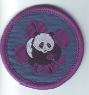 B 36 - 33 CHINA Scout Badge  - Scouting