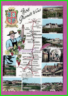 CPM LES VINS DE BOURGOGNE - Carte Plan De La Route Gevrey Clos Vougeot  Nuit St Geoges Aloxe Corton Vignoble Vigne - Bourgogne