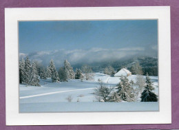 L'Hiver En Franche-Comté - Tout Là-haut - Franche-Comté