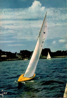 N°41097 Z -cpsm Voilier "Requin"  - Voile