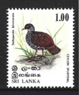 SRI LANKA. N°529 De 1979. Galloperdix. - Grey Partridge