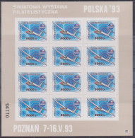 Poland Label - Glider 1993 (F034): Philatelic Exhibition Polska 93 (sheet) - Alianti