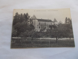 DARNEY ET SES ENVIRONS   ( 88 Vosges )  LE CHATEAU DE SAINT BASLEMONT  VERGER - Darney