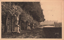 FRANCE - Vue Panoramique Sur L'allée Royale (dans Le Fond, Le Palais) - Royal Alley- Carte Postale Ancienne - Versailles (Kasteel)