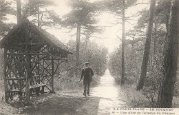 FRANCE - Paris Plage - Le Touquet - Vue Sur Une Allée De L'avenue Du Château - Carte Postale Ancienne - Le Touquet