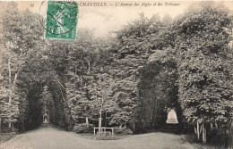 FRANCE - Chantilly - L'avenue Des Aigles Et Des Tribunes - Carte Postale Ancienne - Chantilly