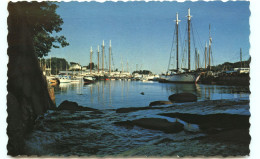 Etats-Unis - Maine - Bateaux - Voiliers - Camden Harbor - Where The Mountains Meet The Sea - état - Autres & Non Classés