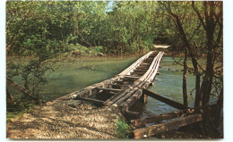 Etats-Unis - Missouri - Hog Trough Bridge - Located On Courtois Creek , Off Highway 8, Between Potosi And Steelville - Otros & Sin Clasificación