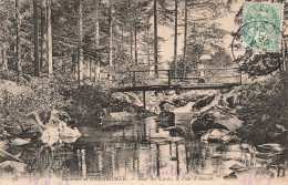 FRANCE - Environs De Gérardmer - Saut Des Cuves - Le Pont D'Amour - Carte Postale Ancienne - Gerardmer