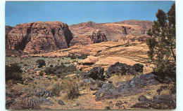 Etats-Unis - Utah - Snow's Canyon - Dixie State Park - Near Saint - St George - Bon état - Other & Unclassified