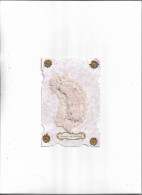 Carte Postale Ancienne Bonnet De Ste Catherine (Bonnet Blanc Ruban Rose - Sainte-Catherine