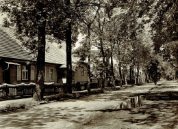 BLOSSIN : Dorfstrasse - Photo Véritable - Königs-Wusterhausen