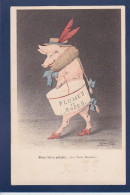 CPA Cochon Pig Position Humaine Satirique Espinasse Non Circulée Prostitution - Cerdos
