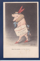 CPA Cochon Pig Position Humaine Satirique Espinasse Non Circulée Prostitution - Schweine