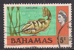 Bahamas 1971 QE2 5c  Fish SG 363 Used ( E225 ) - 1963-1973 Ministerial Government