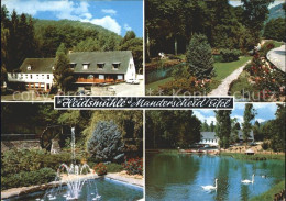 72007559 Manderscheid Eifel Heidsmuehle Park Springbrunnen Muehle Schwanenteich  - Manderscheid