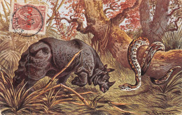 24-1680 : CARTE ILLUSTREE. RHINOCEROS. ET SERPENT - Rhinozeros