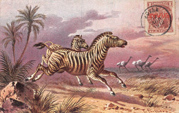 24-1681 : CARTE ILLUSTREE. ZEBRE - Cebras