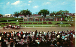 Cpsm NEW ORLEANS FAIR GROUNDS Located At 1751 Gentilly Road - New Orleans